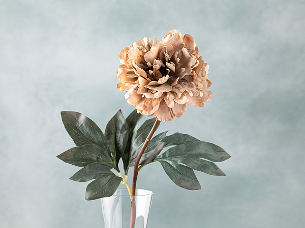 Peony Dream Artificial flower 75 cm